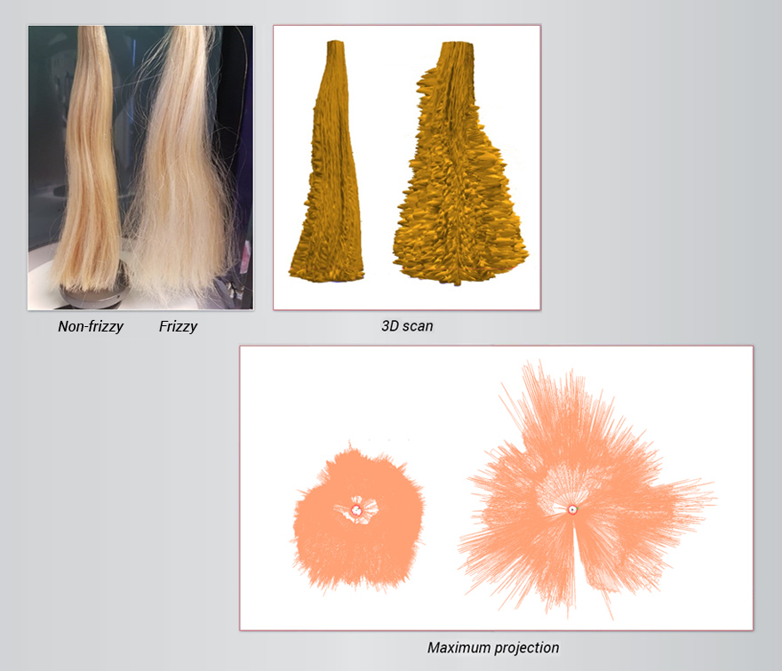 两种头发类型的例子比较