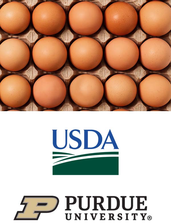 普渡大学-努力在鸡蛋行业取得测量进展