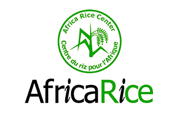 非洲水稻标志