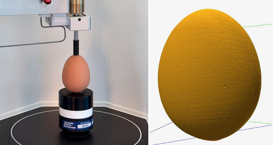 垂直支撑的鸡蛋准备扫描;卵子的存档扫描