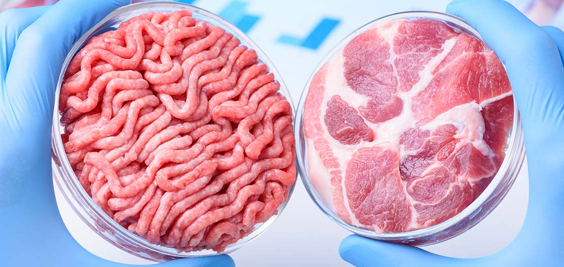 Cell cultured raw meat samples in laboratory