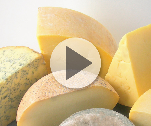 Cheese texture video